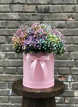 Цветочная композиция из Гипсофила и Розы в шляпной коробке в Миассе