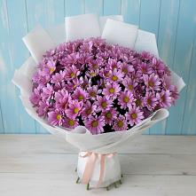 Букет цветов из:  Хризантемы #REPLACE_PRED# Миассе