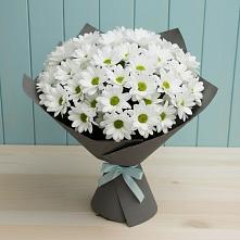 Букет цветов из:  Хризантемы в Миассе