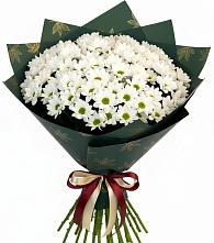 Букет цветов из:  Хризантемы #REPLACE_PRED# Миассе
