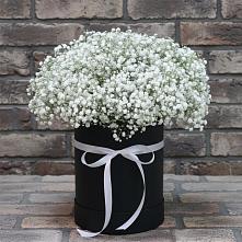 Цветочная композиция из Гипсофила в шляпной коробке в Миассе