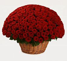 Премиум букет из: Розы в Миассе