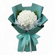 Букет цветов из:  Гортензия #REPLACE_PRED# Миассе